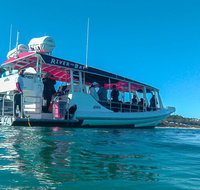 Best of Moreton Bay Cruise - Accommodation Melbourne