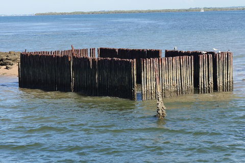 Best Of Moreton Bay Cruise - Accommodation Melbourne 1