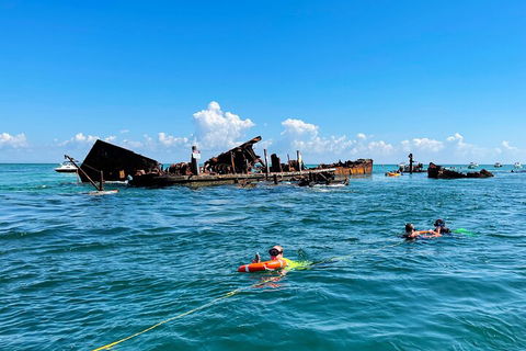 Best Of Moreton Bay Cruise - Accommodation Melbourne 5