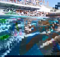 Great Barrier Reef Day Cruise from Cairns Including Snorkeling and Marine Biologist Presentation - Melbourne 4u