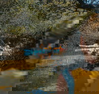 Kayak Tour in Adelaide Dolphin Sanctuary - Accommodation Melbourne