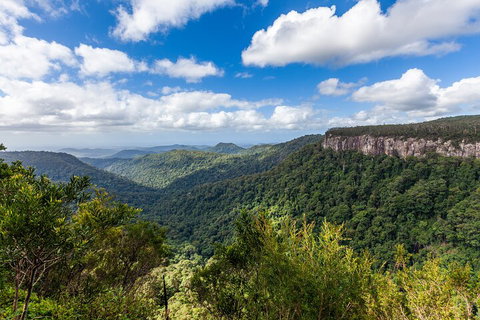 Natural Bridge & Springbrook Waterfalls Tour - Accommodation Melbourne 1