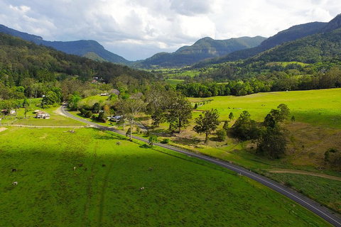 Natural Bridge & Springbrook Waterfalls Tour - Accommodation Melbourne 2