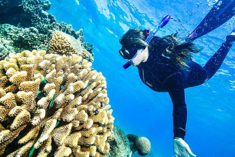 Green Island Day Trip From Cairns - Melbourne 4u 1