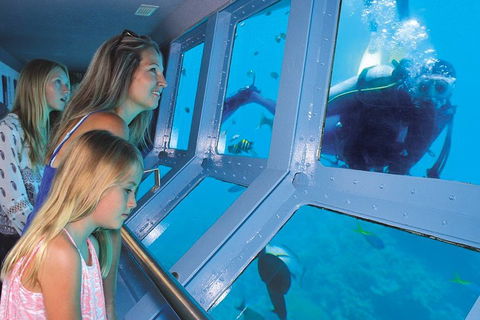 Quicksilver Outer Great Barrier Reef Snorkel Cruise From Palm Cove - Accommodation Melbourne 0