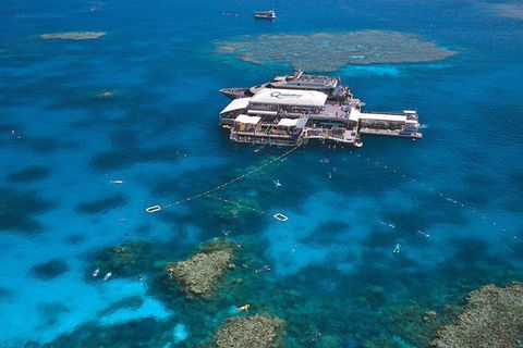 Quicksilver Outer Great Barrier Reef Snorkel Cruise From Palm Cove - Accommodation Melbourne 1