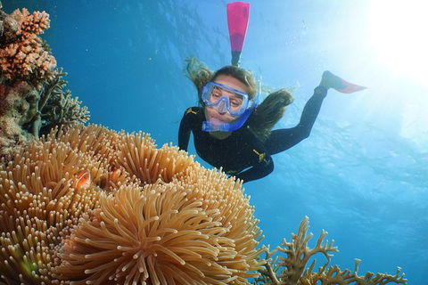 Quicksilver Outer Great Barrier Reef Snorkel Cruise From Palm Cove - Accommodation Melbourne 2