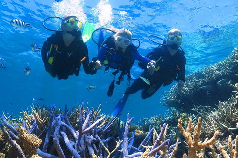 Quicksilver Outer Great Barrier Reef Snorkel Cruise From Palm Cove - Accommodation Melbourne 3