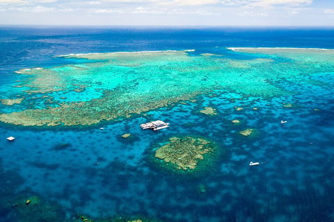 Quicksilver Outer Great Barrier Reef Snorkel Cruise From Palm Cove - Accommodation Melbourne 4