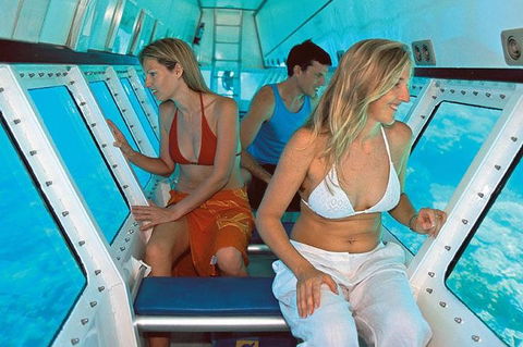 Quicksilver Outer Great Barrier Reef Snorkel Cruise From Palm Cove - Accommodation Melbourne 5