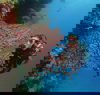 Silversonic Outer Great Barrier Reef Dive and Snorkel Cruise from Port Douglas - Accommodation Melbourne