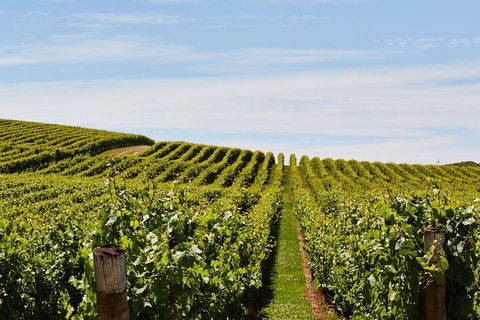 West Tamar Wine Tour - Melbourne 4u 2