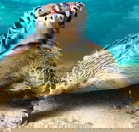 Sail Snorkel SUP  Kayak Charter Whitsundays - Accommodation Melbourne
