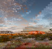 Uluru Kata Tjuta and Kings Canyon Camping Safari from Alice Springs - Accommodation Melbourne