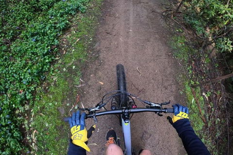 Explore Downhill Mountain In 3-Hour Bike Tour From Hobart - Accommodation Melbourne 2