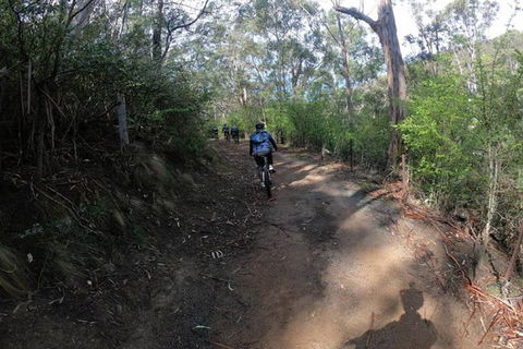 Explore Downhill Mountain In 3-Hour Bike Tour From Hobart - Accommodation Melbourne 3