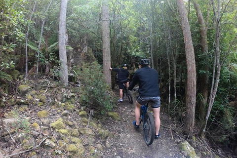 Explore Downhill Mountain In 3-Hour Bike Tour From Hobart - Accommodation Melbourne 4