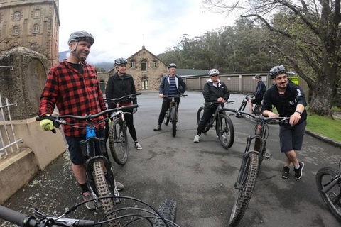 Explore Downhill Mountain In 3-Hour Bike Tour From Hobart - Accommodation Melbourne 5