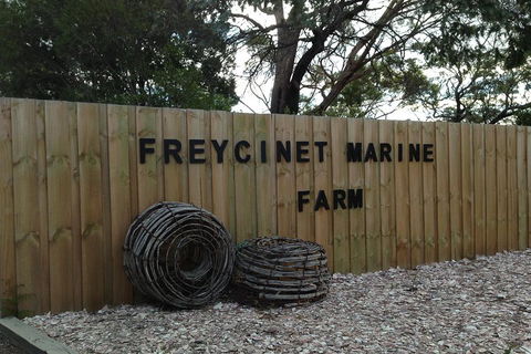 Active Day Tour One-Way From Launceston To Hobart Via Wineglass Bay - Melbourne 4u 3