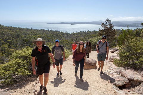 3-Day Tasmania Combo: Launceston To Hobart Active Tour Including Cradle Mountain, Freycinet National Park And Port Arthur - Melbourne 4u 5