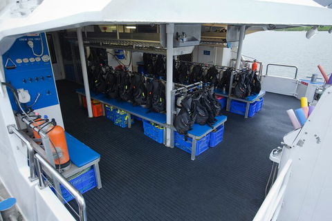 Silverswift Outer Great Barrier Reef Dive And Snorkel Cruise From Cairns - Melbourne 4u 0