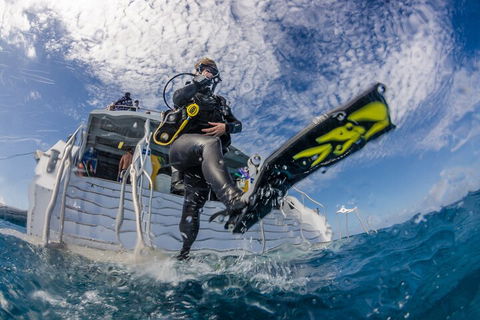 Silverswift Outer Great Barrier Reef Dive And Snorkel Cruise From Cairns - Melbourne 4u 1
