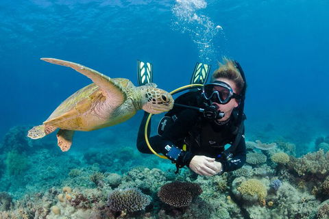 Silverswift Outer Great Barrier Reef Dive And Snorkel Cruise From Cairns - Melbourne 4u 2