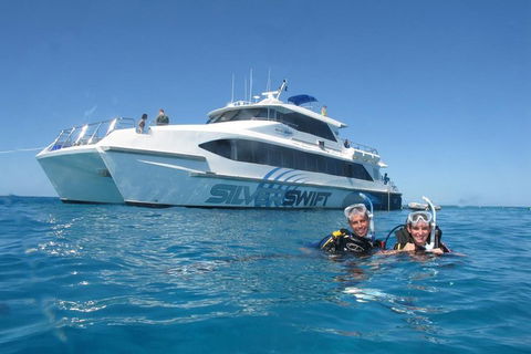 Silverswift Outer Great Barrier Reef Dive And Snorkel Cruise From Cairns - Melbourne 4u 4