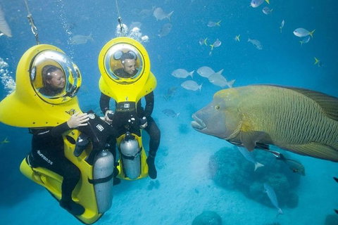 Great Barrier Reef Adventure From Cairns - Accommodation Melbourne 2