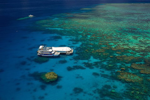 Great Barrier Reef Adventure From Cairns - Accommodation Melbourne 4