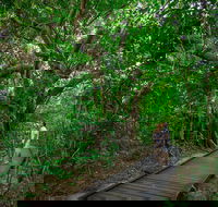 Green Island Eco Adventure from Cairns - Melbourne 4u