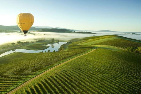 Half-Day Or Full-Day Tour With Private Guide From Melbourne - Accommodation Melbourne 4