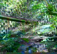 Double Pack-Ancient Rainforest and Waterfalls - Melbourne 4u