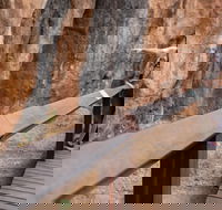 Chillagoe Caves and Outback Day Trip from Cairns - Melbourne 4u