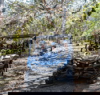 Small-Group Buggy Tour at Little Sahara with Guide - Accommodation Melbourne