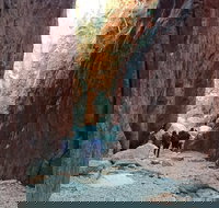 West MacDonnell Private Tour with Transfer - Accommodation Melbourne