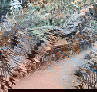 West MacDonnell Ranges Half - Day Tour - Accommodation Melbourne