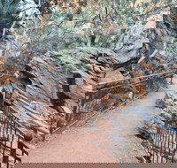 West MacDonnell Ranges Half-Day Private Charter Guided Tour - Accommodation Melbourne