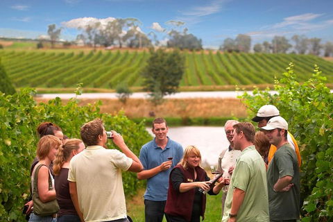 Yarra Valley Wine And Winery Tour From Melbourne - Accommodation Melbourne 0