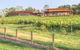 Yarra Valley Wine And Winery Tour From Melbourne - thumb 1