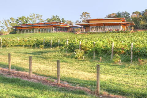 Yarra Valley Wine And Winery Tour From Melbourne - Accommodation Melbourne 1