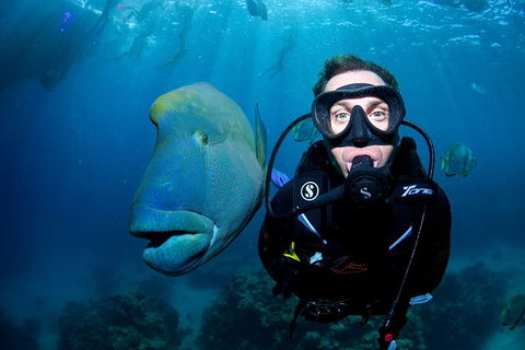 Full Day Reef Cruise Including 10 Minute Heli Scenic Flight: Get High Package - Melbourne 4u 1
