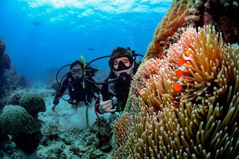 Full Day Reef Cruise Including 10 Minute Heli Scenic Flight: Get High Package - Melbourne 4u 5
