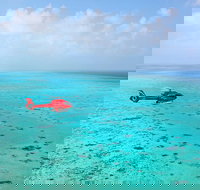 Port Douglas Scenic Flights - Accommodation Melbourne