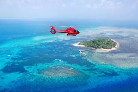 Ultimate Great Barrier Reef And Rainforest 45-minute Helicopter Tour - Accommodation Melbourne 4