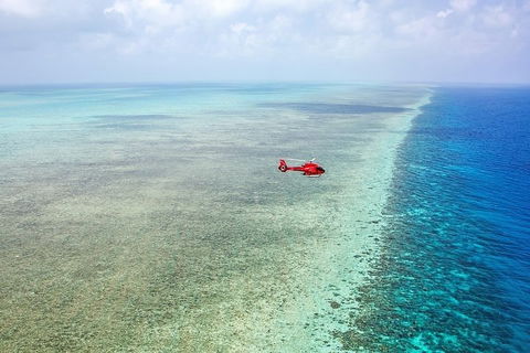 Ultimate Great Barrier Reef And Rainforest 45-minute Helicopter Tour - Accommodation Melbourne 5