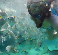 2-Day Moreton Island 4WD Camping Tour from Brisbane - Accommodation Melbourne