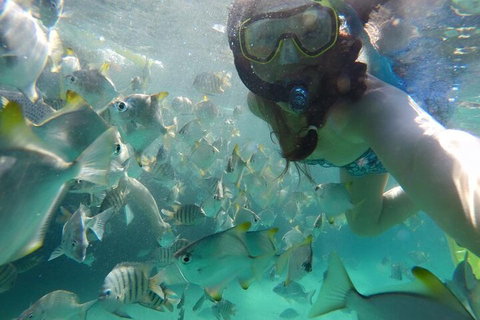 Moreton Island Snorkel And Sandboarding 4WD Day Trip From Brisbane - Accommodation Melbourne 3
