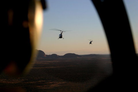 Helicopter Scenic: Lizard Safari - Accommodation Melbourne 1