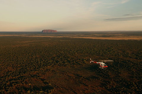 Helicopter Scenic: Lizard Safari - Accommodation Melbourne 4